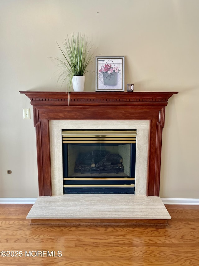 room details with hardwood / wood-style floors