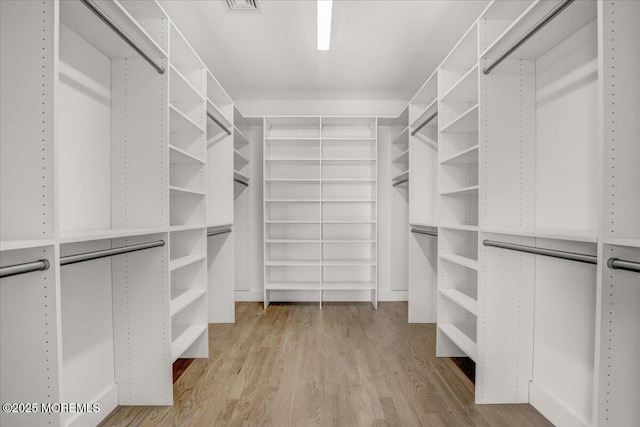 spacious closet with light wood-type flooring