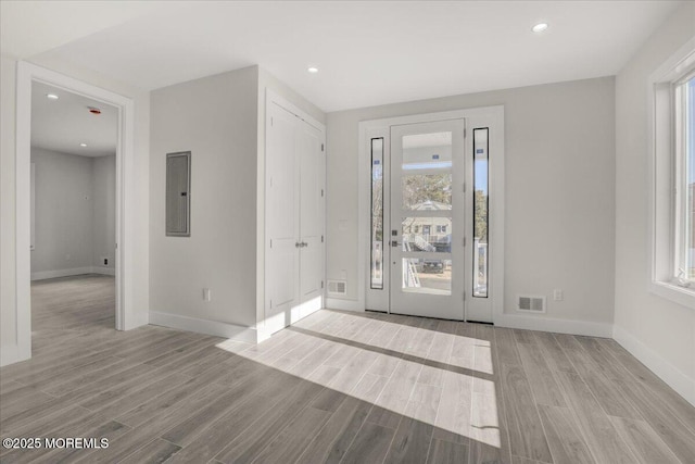 entrance foyer featuring light hardwood / wood-style floors, a healthy amount of sunlight, and electric panel