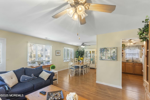 living room featuring sink and wood-type flooring