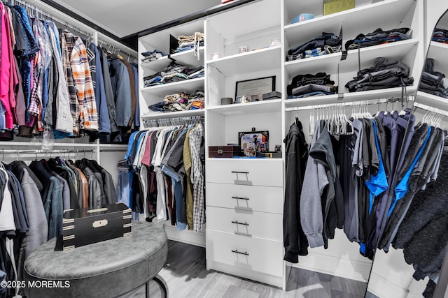 spacious closet with light hardwood / wood-style flooring