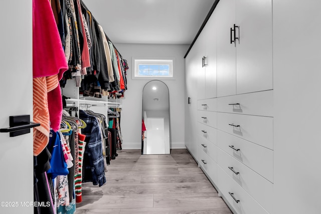 spacious closet featuring light wood-type flooring