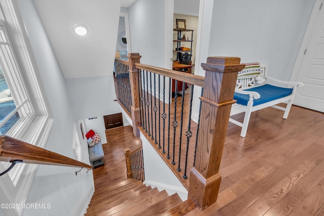 stairway with hardwood / wood-style flooring