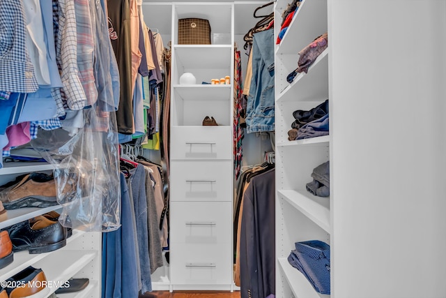 view of walk in closet