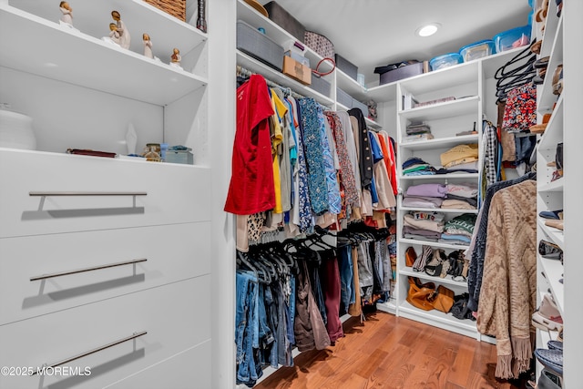 spacious closet featuring hardwood / wood-style floors