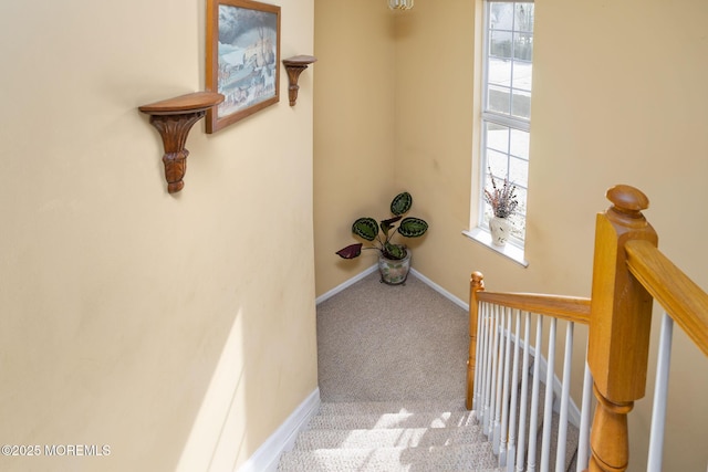 stairs featuring plenty of natural light and carpet