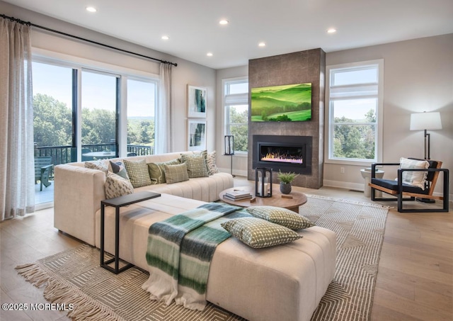 living room featuring a fireplace and light hardwood / wood-style flooring