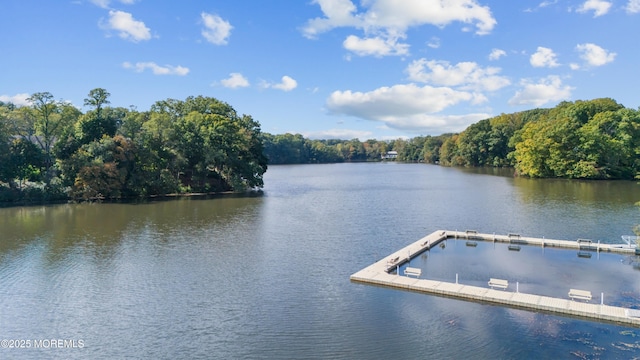 dock area with a water view