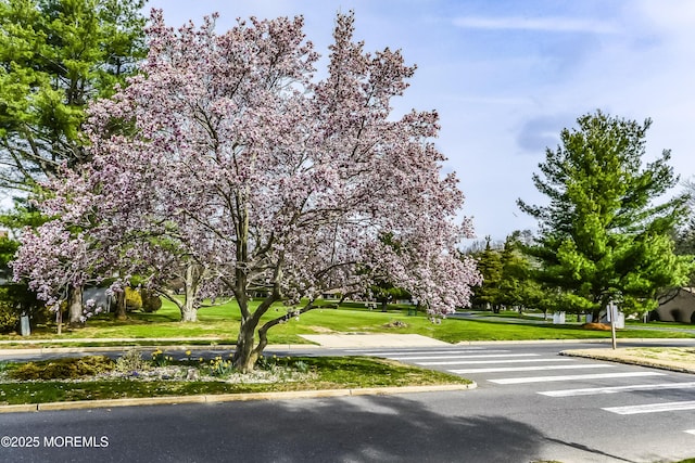 surrounding community featuring a yard