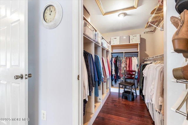 walk in closet with dark hardwood / wood-style flooring