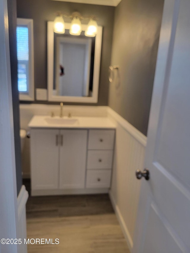 bathroom featuring vanity and wood-type flooring