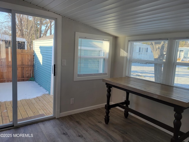 entryway featuring vaulted ceiling, plenty of natural light, and hardwood / wood-style floors