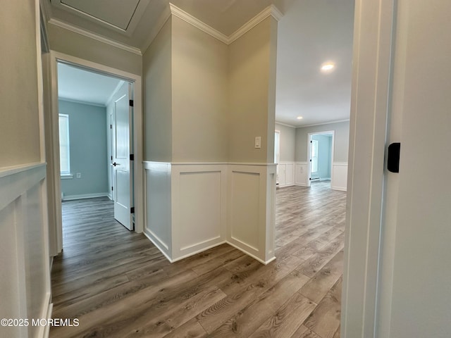 hallway with crown molding and wood-type flooring