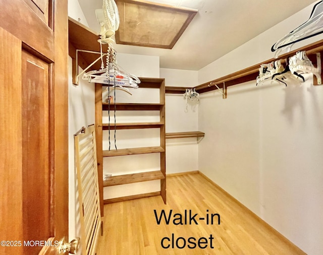 walk in closet with light hardwood / wood-style floors