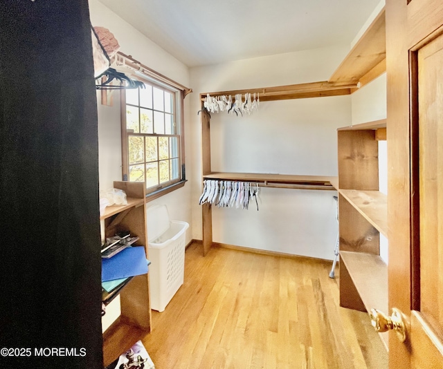 walk in closet with light wood-type flooring