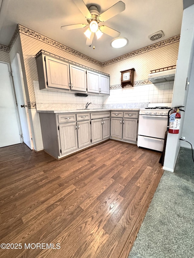 kitchen with dark wood-type flooring, sink, white range with gas cooktop, ceiling fan, and decorative backsplash