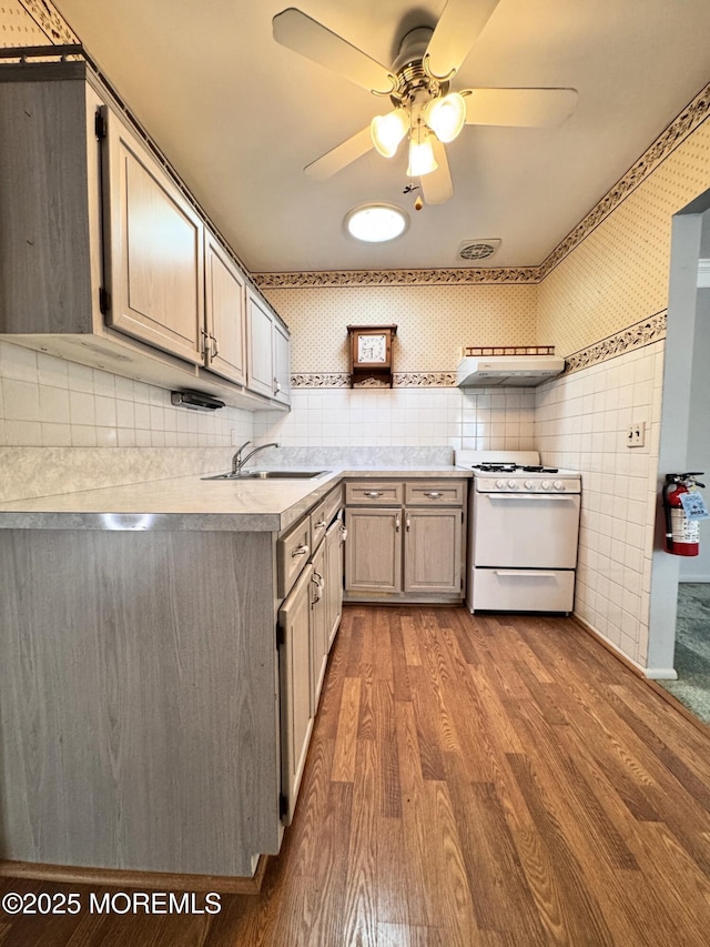 kitchen with hardwood / wood-style flooring, white gas range, sink, and ceiling fan