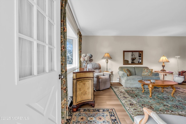 living room with light wood-type flooring