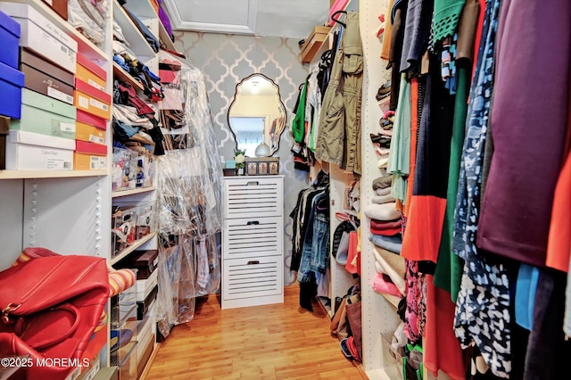 spacious closet featuring light wood-type flooring