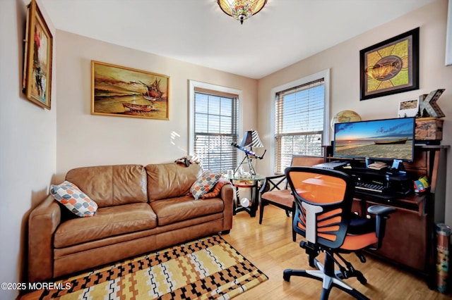 office area featuring light hardwood / wood-style flooring