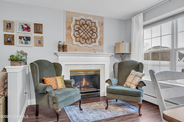 living area with dark wood-type flooring