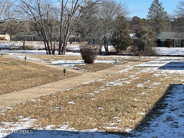 view of yard covered in snow