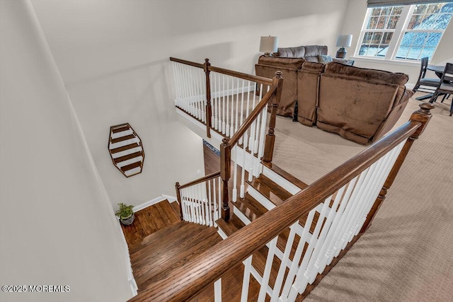 staircase with hardwood / wood-style floors