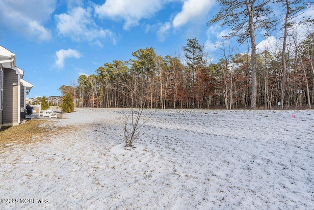 view of yard covered in snow