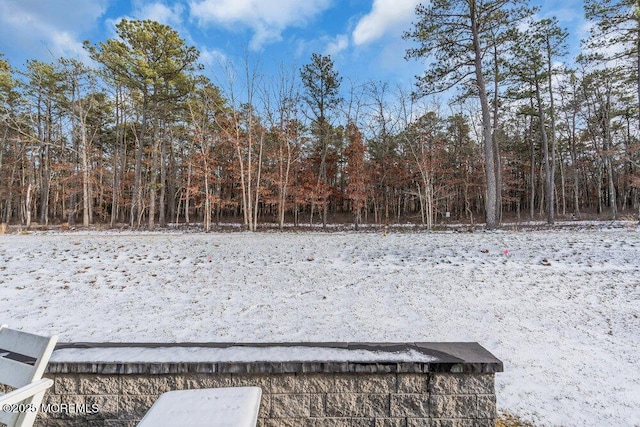 view of yard covered in snow