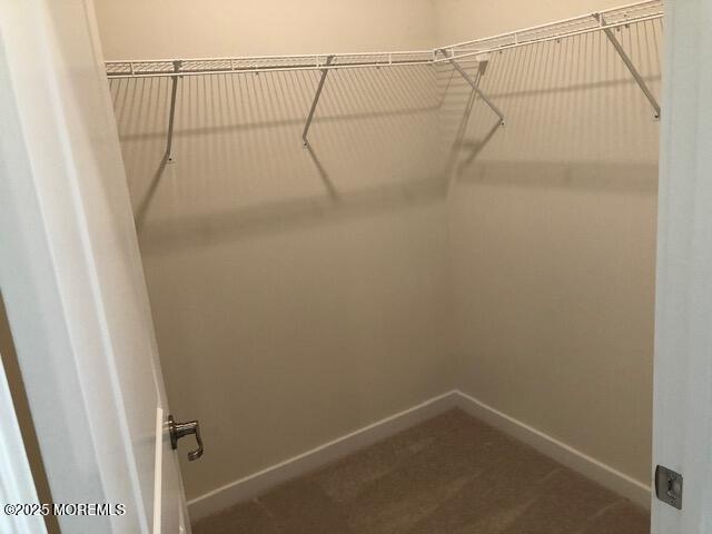 walk in closet with carpet flooring