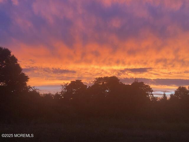 view of nature at dusk