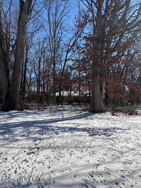 view of snowy yard