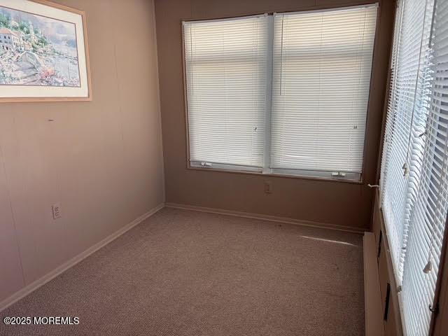 carpeted empty room with plenty of natural light