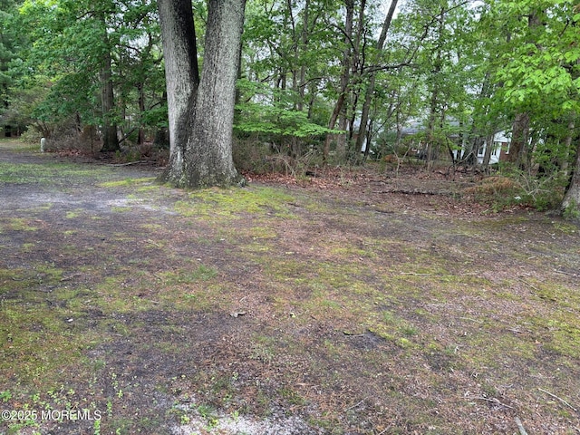164 Columbine Ave Unit B, Manchester, NJ 08759 - view of yard
