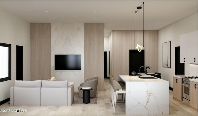 living room featuring light wood-style floors