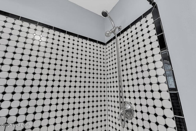 interior details featuring a shower