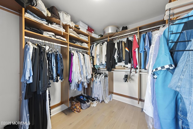 spacious closet featuring light wood-type flooring