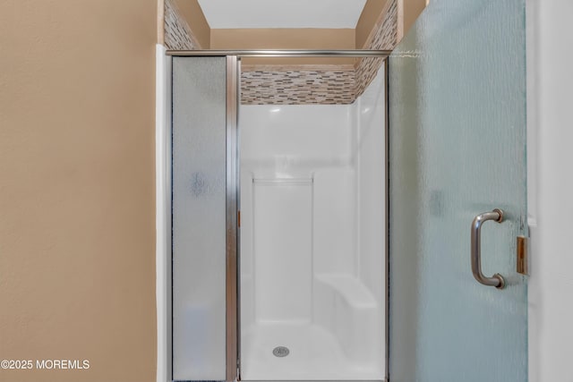 bathroom featuring a shower with shower door