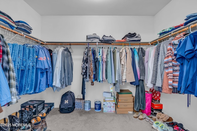 walk in closet with carpet