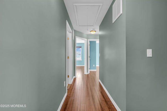 hallway featuring hardwood / wood-style flooring