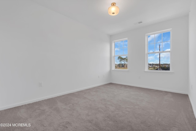 carpeted spare room with plenty of natural light