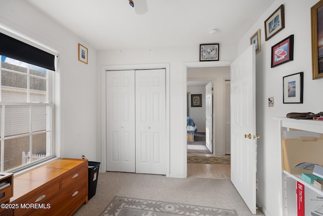 carpeted bedroom with a closet