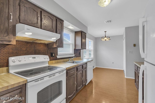 kitchen featuring sink, white appliances, hanging light fixtures, dark brown cabinetry, and decorative backsplash