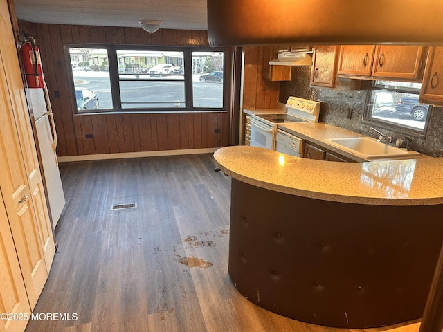 kitchen with dark hardwood / wood-style floors, wooden walls, tasteful backsplash, sink, and white appliances