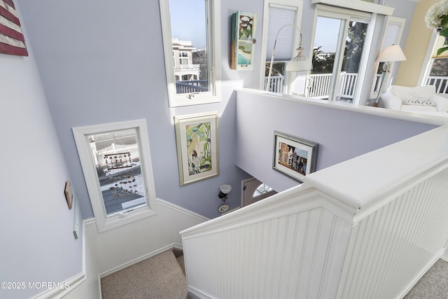 staircase with carpet flooring