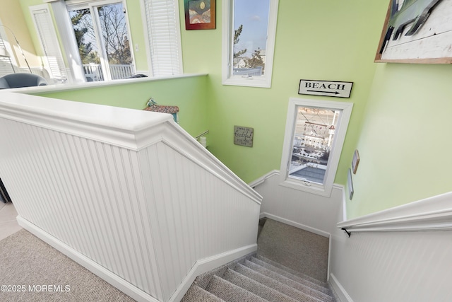 staircase with carpet flooring