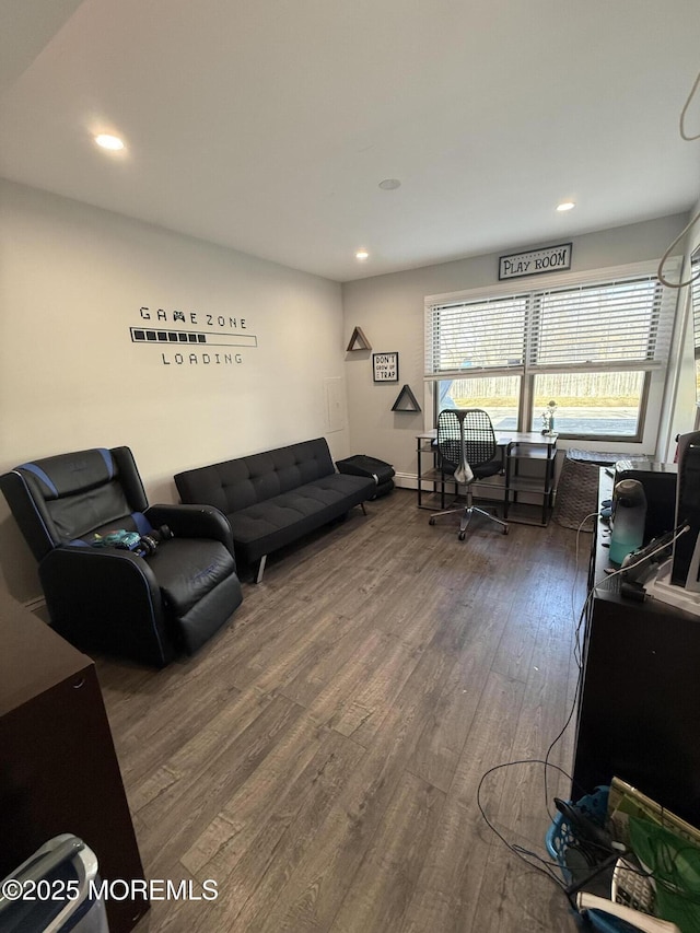 living room featuring dark wood-type flooring