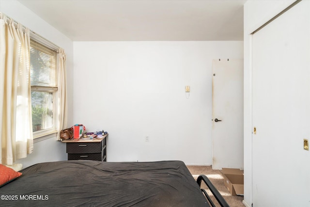 bedroom with carpet floors and multiple windows