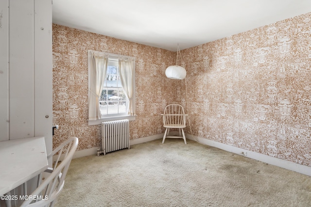 carpeted empty room with radiator