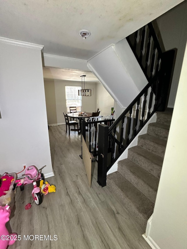 14 James Cubberly Ct, Hamilton, NJ 08610 - photo 2